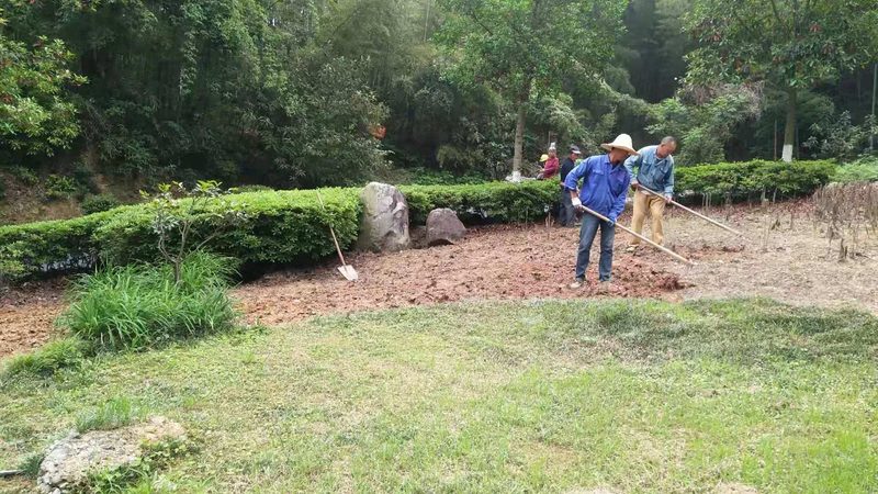 屋顶绿化补贴：屋顶材质分类与选择指南