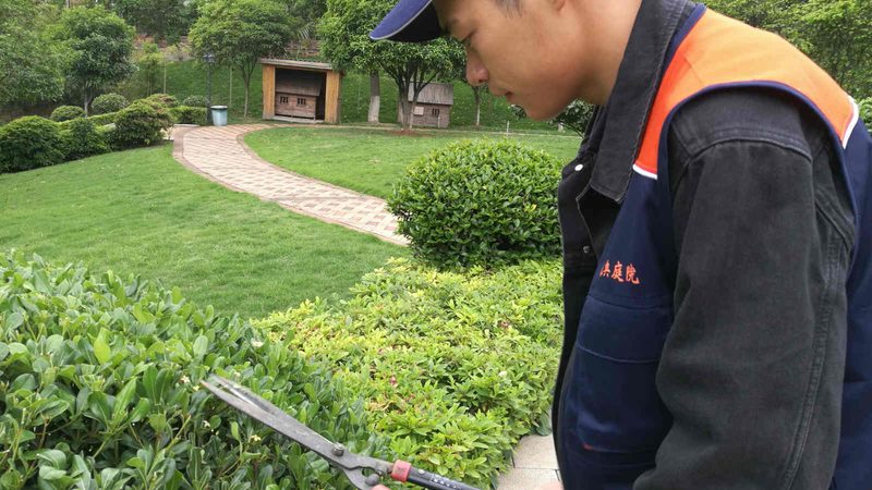 揭秘绿化工程监理资质等级：关键因素与选择要点