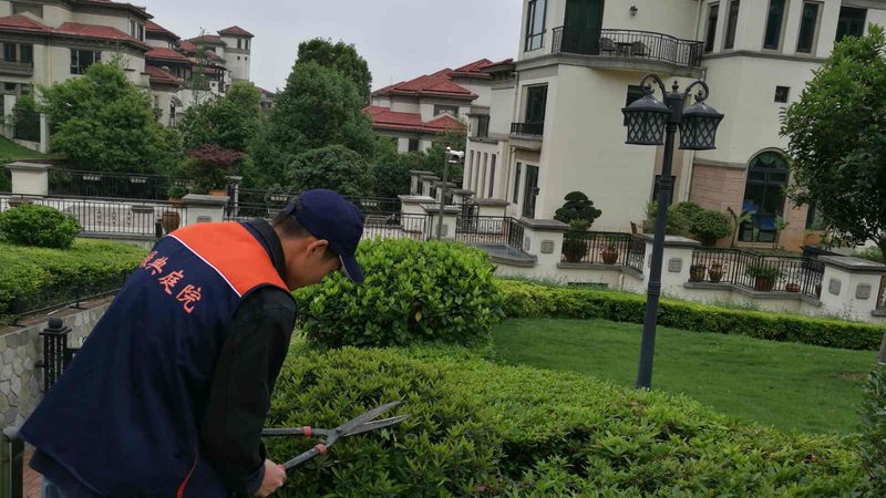 别墅花卉租摆，如何精准报价？**