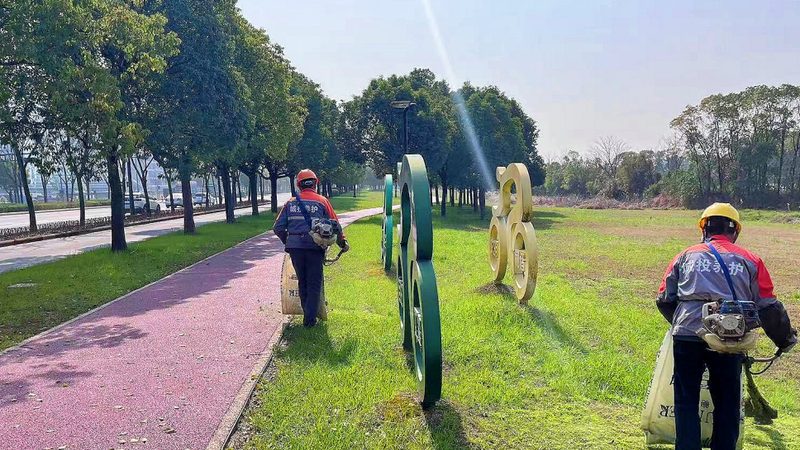 私人别墅花园设计报价：揭秘合理预算的关键要素**
