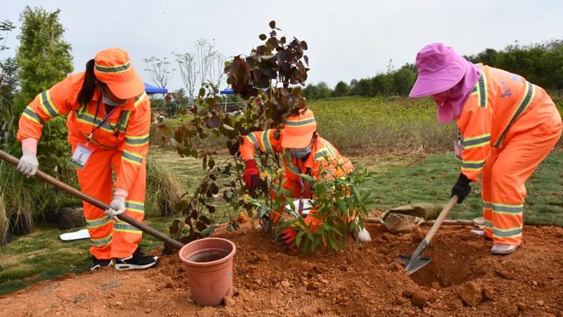 小庭院灯光布局，这五个参数最容易翻车