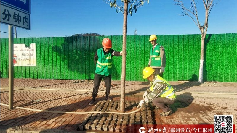 垂直绿化哪个牌子靠谱