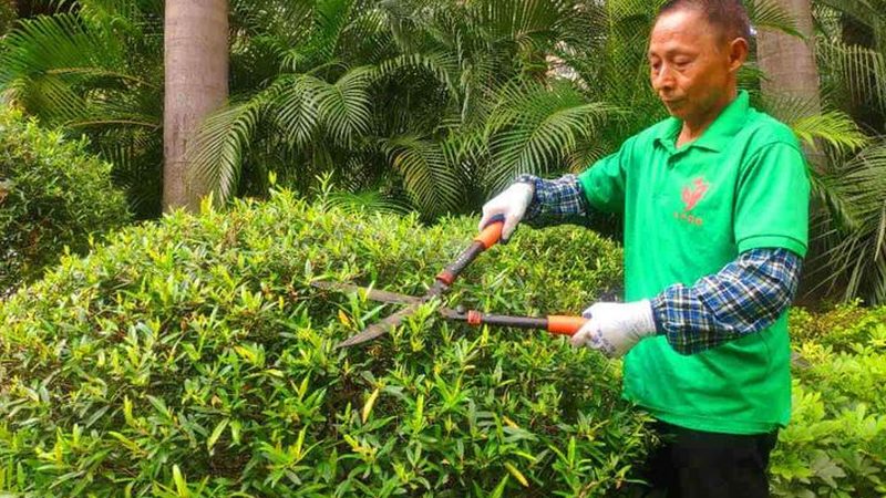 加盟立体绿化前，先想清楚这几件事