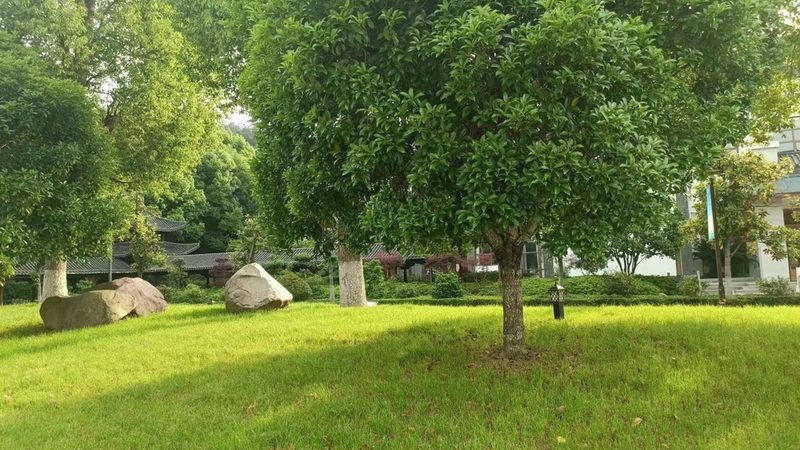 水泥假山喷泉，如何精准报价？**